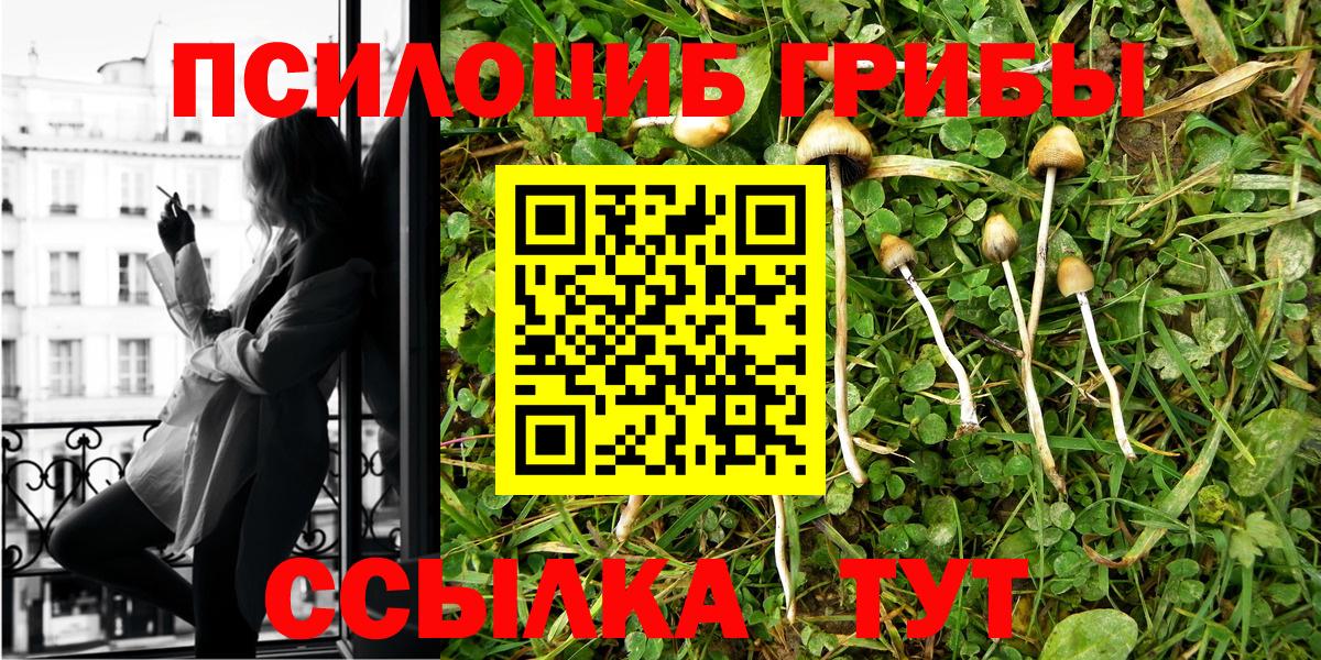 цены наркотик  Галлюциногенные грибы Psilocybine cubensis  Вход с VPN  Сунжа 