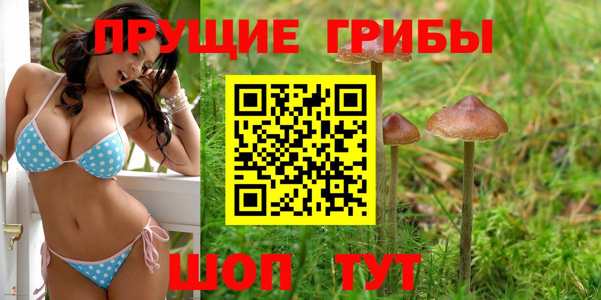 Псилоцибиновые грибы ЛСД Сунжа